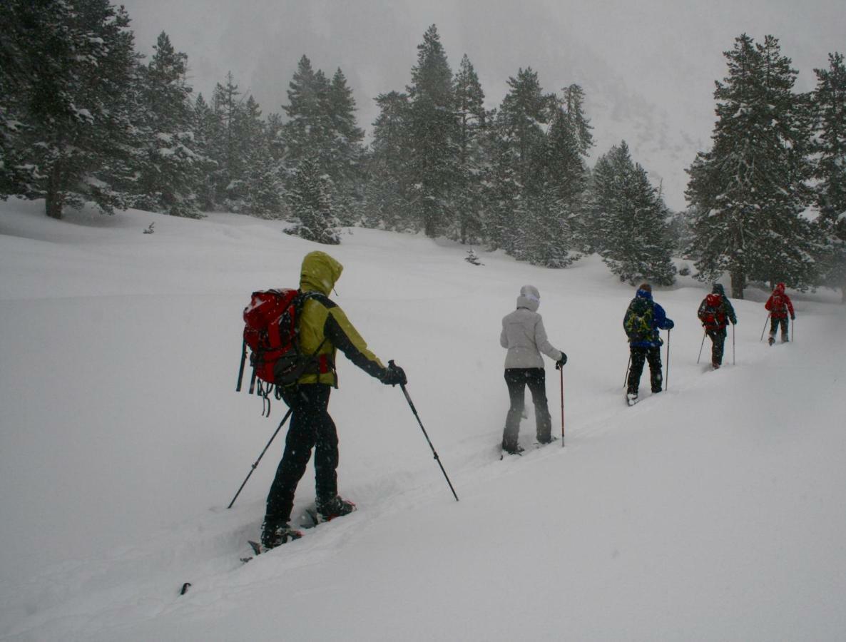 Amaroq Explorers Basecamp Tremp Ngoại thất bức ảnh